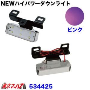 トラック用品　NEWハイパワーダウンライト　12/24V共用　ピンク