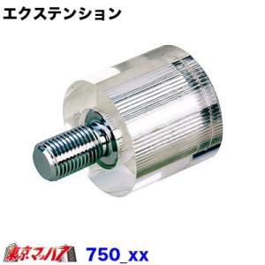 222-750-02　エクステンション　クリスタル　上下10×1.25