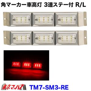 アイピープロジェクト 262-050-44 トラック用品 ストライプ LED6 車高