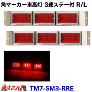 アイピープロジェクト 車高灯レンズ 車高灯 3連 ストライプ LED6 車高