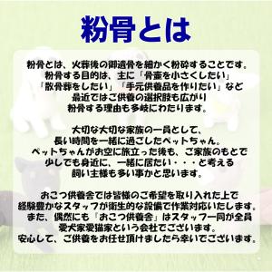ペット 遺骨 粉骨 パウダー化 サービス(小)...の詳細画像2