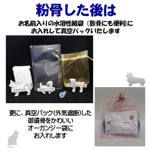 ペット 遺骨 粉骨 パウダー化 サービス(小)...の詳細画像3