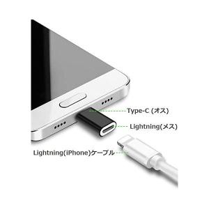 AXYOUSB Type-C to ライトニング 交換アダプタ 充電 データ転送