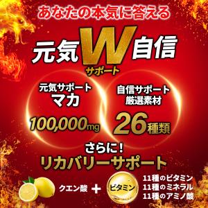 マカ サプリ 100000mg ドラゴンマカ ...の詳細画像5