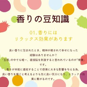 マンゴー香るジャスミン緑茶 ティーバッグ 2g...の詳細画像5