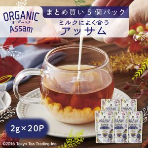 アッサムティー 水出し オーガニック 有機栽培 紅茶 ティーバッグ 100包 Mug&Pot