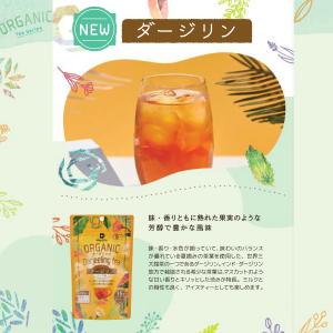 ルイボスティー 水出し オーガニック 有機栽培...の詳細画像4