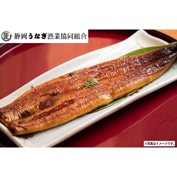 父の日 ギフト プレゼント G200 静岡県産 うなぎ蒲焼　2枚