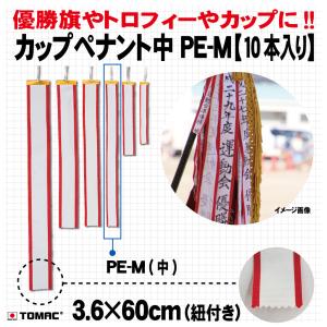 ペナント(中)(10本入り)の商品画像