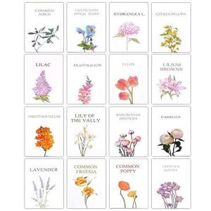 64枚の ミニカード 感謝カード 花の柄 メッセージカード 感謝祭 感謝の日 母の日 記念日 結婚式 卒業式 友達 家族 職場 感謝の気持ち プレゼン