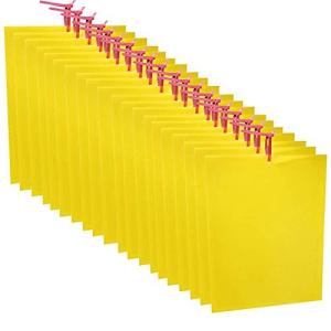 20枚 25*20cm 捕り粘着シート 捕虫シート 害虫対策用品