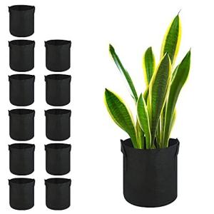 トマト栽培 不織布ポット 園芸用土 の商品一覧 園芸養土 肥料 薬品 庭 ガーデニング Diy 工具 通販 Yahoo ショッピング