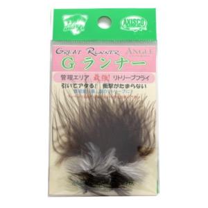 アキスコ GランナーBR