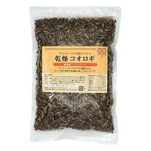 乾燥 コオロギ 200g (約2000匹〜2200匹)イエコオロギ 食用 爬虫類 観賞魚 小動物 鳥類の餌に