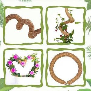 植物支柱 おしゃれ ヘゴ棒 観葉植物 モンステ...の詳細画像1