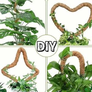 植物支柱 おしゃれ ヘゴ棒 観葉植物 モンステ...の詳細画像3