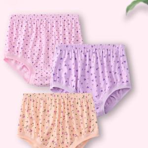 【5枚セット】綿 ショーツ レディース 婦人 ...の詳細画像3