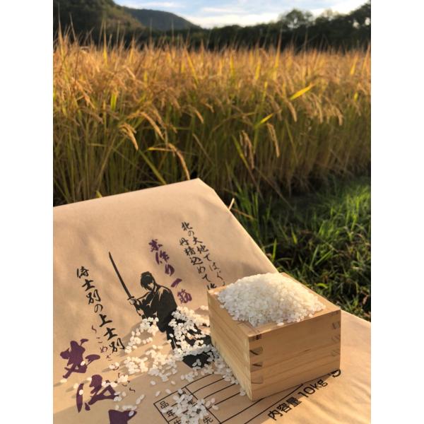 令和5年度産　新米　米侍士(こめざむらい) おぼろづき 精米10kg