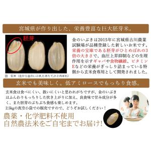 令和7年産 金のいぶき 5kg (2.5kg×...の詳細画像4
