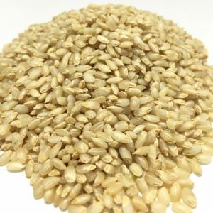 令和7年産 金のいぶき7.5kg (2.5kg...の詳細画像1