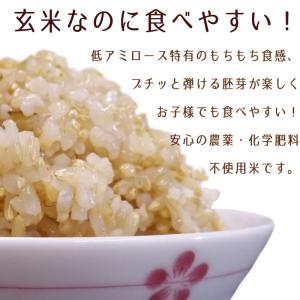 令和7年産 金のいぶき7.5kg (2.5kg...の詳細画像2