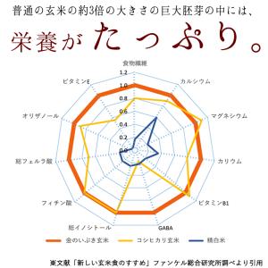 令和7年産 金のいぶき7.5kg (2.5kg...の詳細画像5
