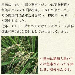 徳用黒米 (500g) 古代米 国内産の詳細画像2