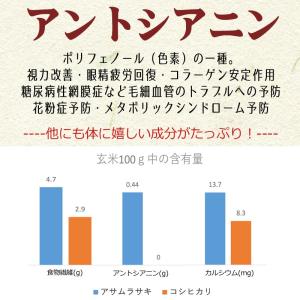 徳用黒米 (500g) 古代米 国内産の詳細画像3