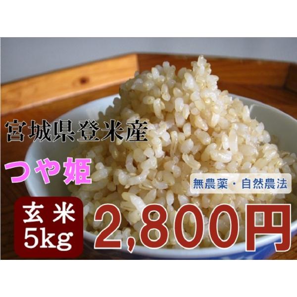米 お米 令和5年産  つや姫 5kg 玄米  宮城 登米 米 特別栽培米 農薬・化学肥料不使用