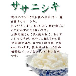 米 お米 令和5年産 ササニシキ 5kg 白米...の詳細画像1