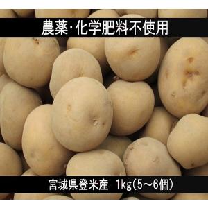 おすすめっ❗️ じゃがいも　5kg 73 おすすめっ❗️ じゃがいも 5kg 73