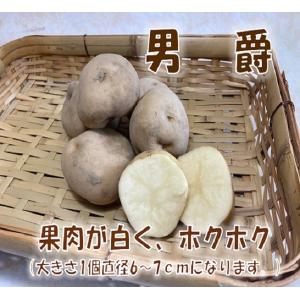 じゃがいも(男爵いも) 1kgの詳細画像1