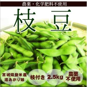 徳用 枝付き 枝豆 2.5kg 農薬・化学肥料不使用 湯上がり娘