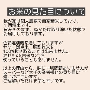 令和7年産 コシヒカリ 5kg 愛知県産 白米...の詳細画像1