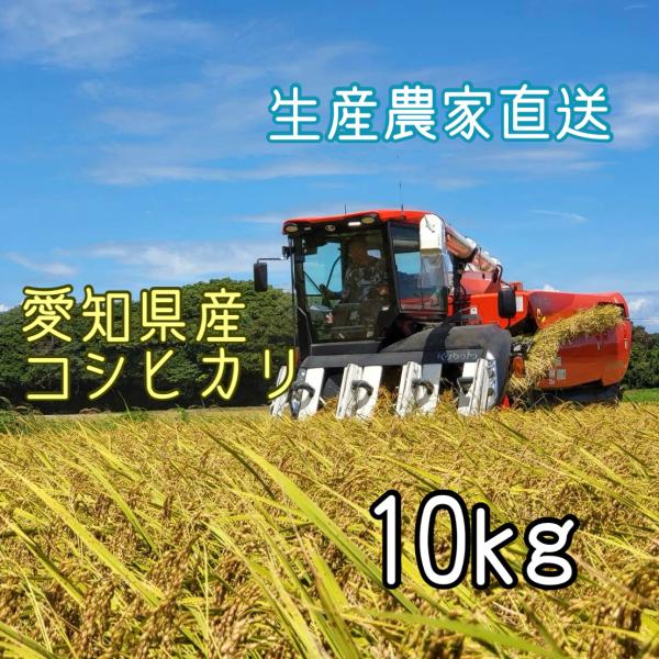 令和7年産　コシヒカリ　10kg　愛知県産　白米 無洗米　生産農家直送