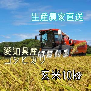 令和5年産　コシヒカリ　愛知県産　玄米 10kg｜tomiaaricecenter