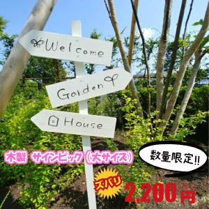 サインピック（大）