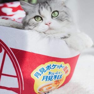 ペットハウス 秋 冬用 防寒 洗える 犬 猫 ...の詳細画像3