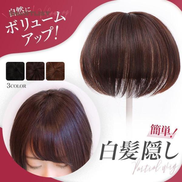 部分ウイッグ 頭頂部 薄毛 かつら女性 増毛 白髪 自然 部分 ウィッグ ヘアピース外出脱毛 治療 ...