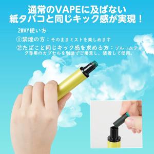 電子タバコ 使い捨て VAPE MIX1風味 ...の詳細画像2
