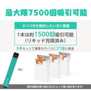 電子タバコ 使い捨て VAPE ミントメンソー...の詳細画像1