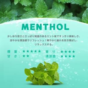 電子タバコ 使い捨て VAPE ミントメンソー...の詳細画像2
