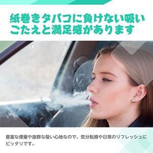 電子タバコ 使い捨て VAPE ミントメンソー...の詳細画像5