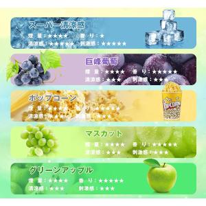 電子タバコ 使い捨て ポップコーン 5本入り ...の詳細画像1
