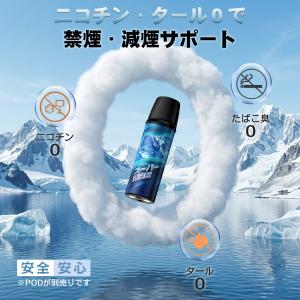 電子タバコ 使い捨て VAPE メンソール 本...の詳細画像3