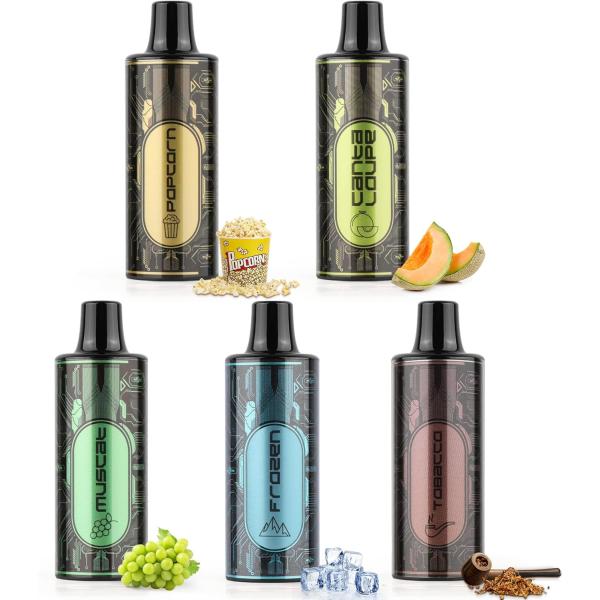 電子タバコ 使い捨て VAPE 25000回吸引可能 MIX2風味 POD5個入 I3型互換POD ...