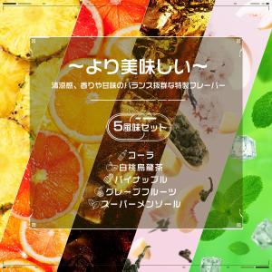 電子タバコ 使い捨て 5000回吸引可能 零度...の詳細画像1