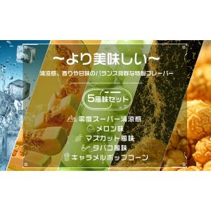 電子タバコ 使い捨て 5000回吸引可能 零度...の詳細画像2