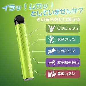 電子タバコ 使い捨て VAPE スーパー清涼感...の詳細画像4