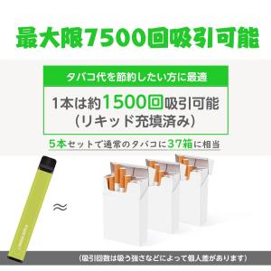 電子タバコ 使い捨て VAPE 青りんご 15...の詳細画像5